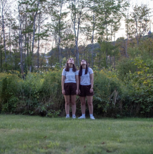 Promo photo for Circus Trees